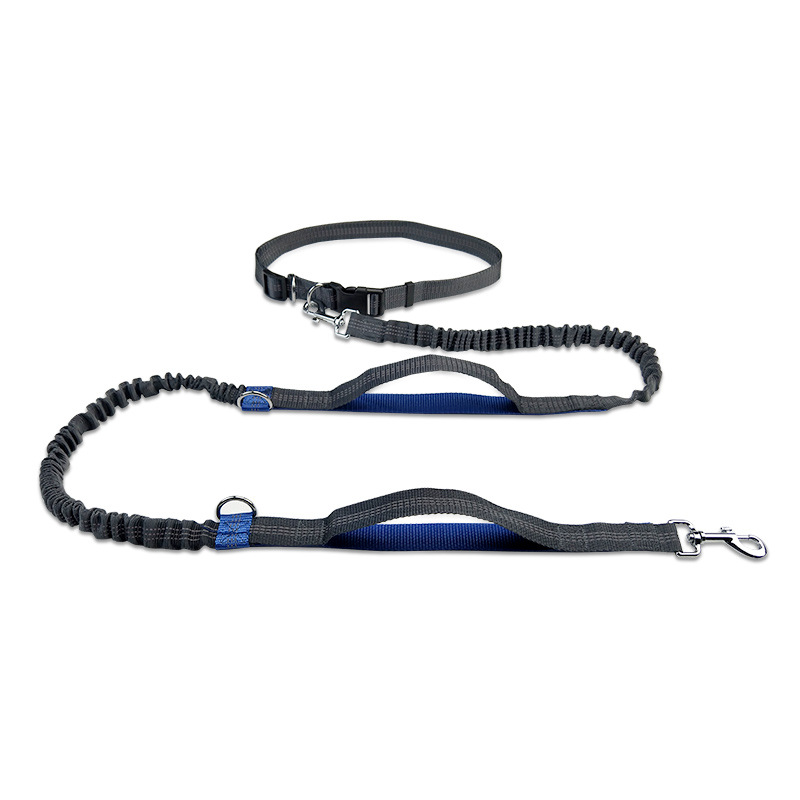 GL-AAJ1165 Hands Free Dog Leash with Dual Bungees